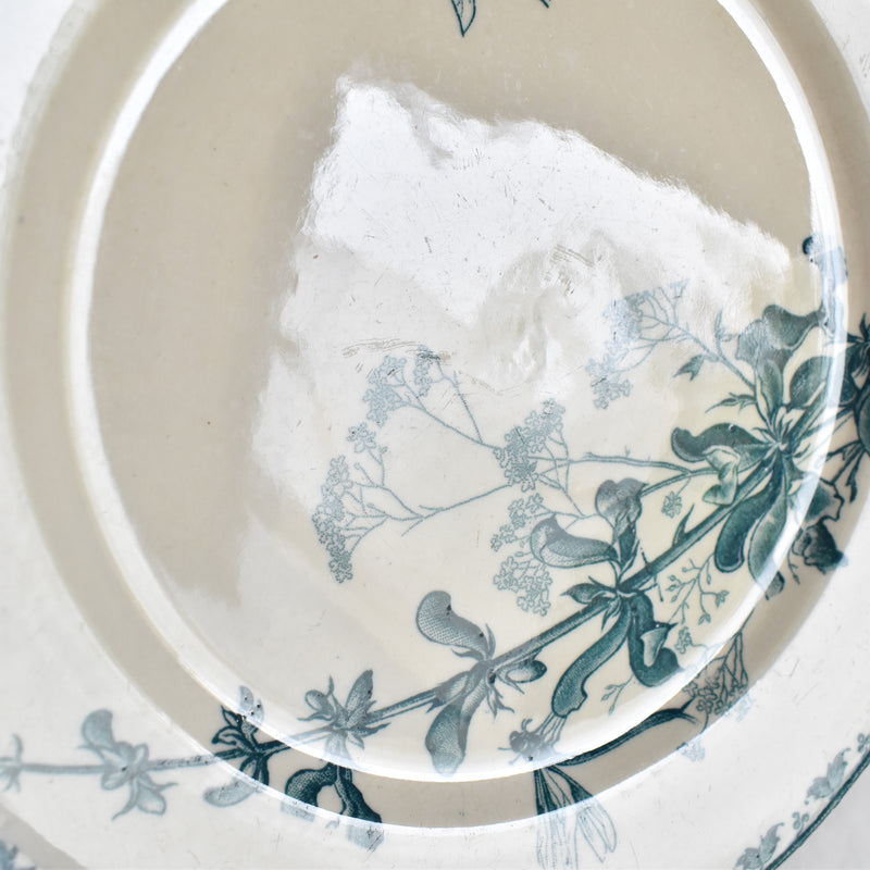 Antique Dessert Plate, Sarreguemines, Carmen A