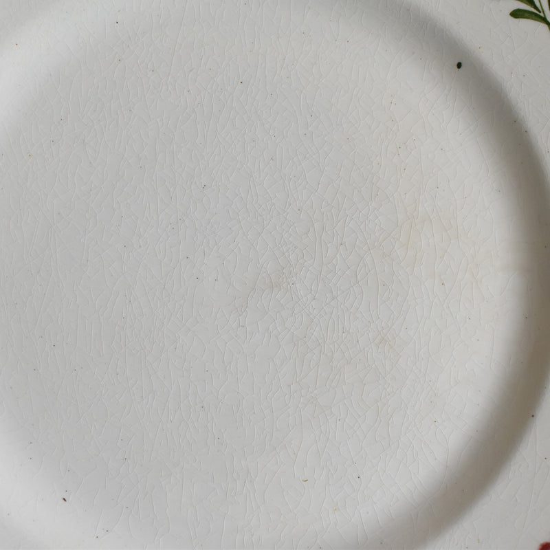 Vintage dessert plate Saint Amand Guirlande fleur A