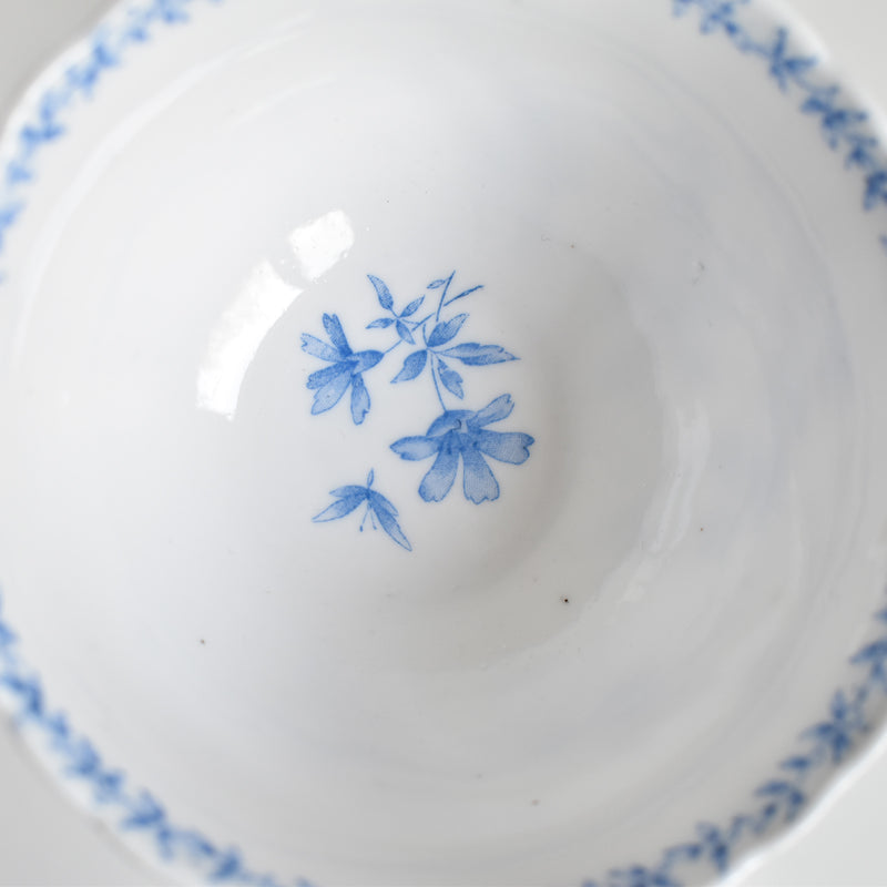 Antique cup and saucer, Sarreguemines Perles fleurs bleues D