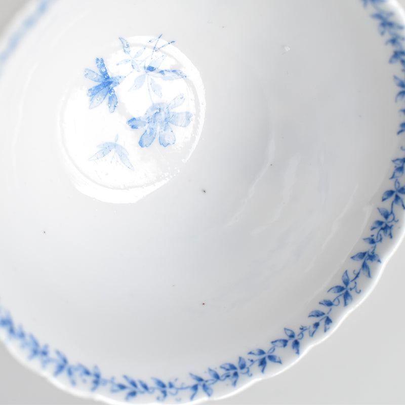 Antique cup and saucer, Sarreguemines Perles fleurs bleues D