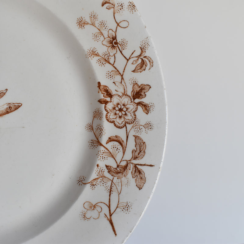 Antique Dessert Plate Salins Tunis B