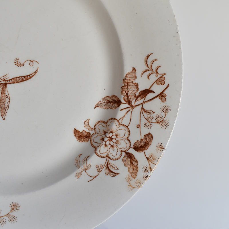 Antique Dessert Plate Salins Tunis B