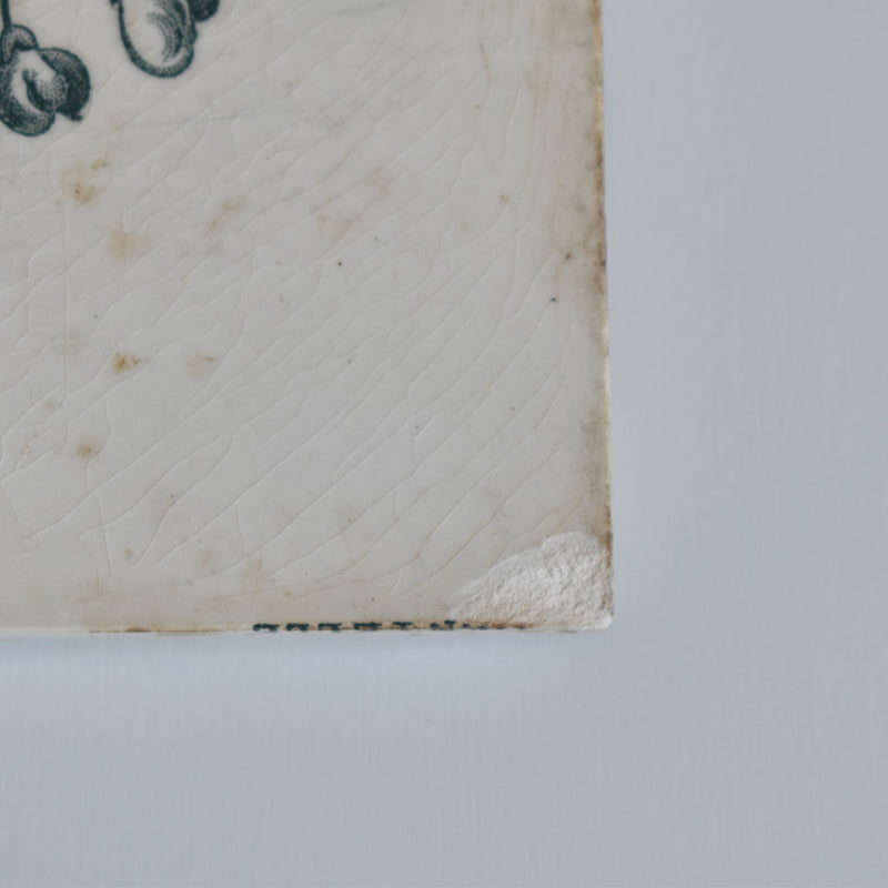 Antique Tiles: Longwy Dentelle A
