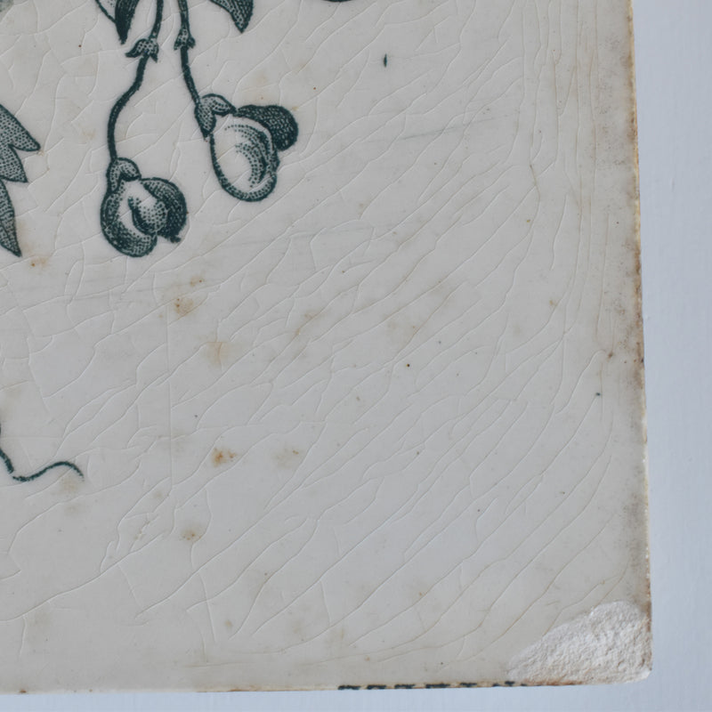 Antique Tiles: Longwy Dentelle A