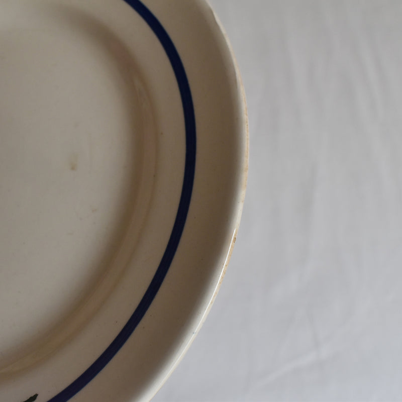 Vintage Dessert Plate Sarreguemines Messidor C
