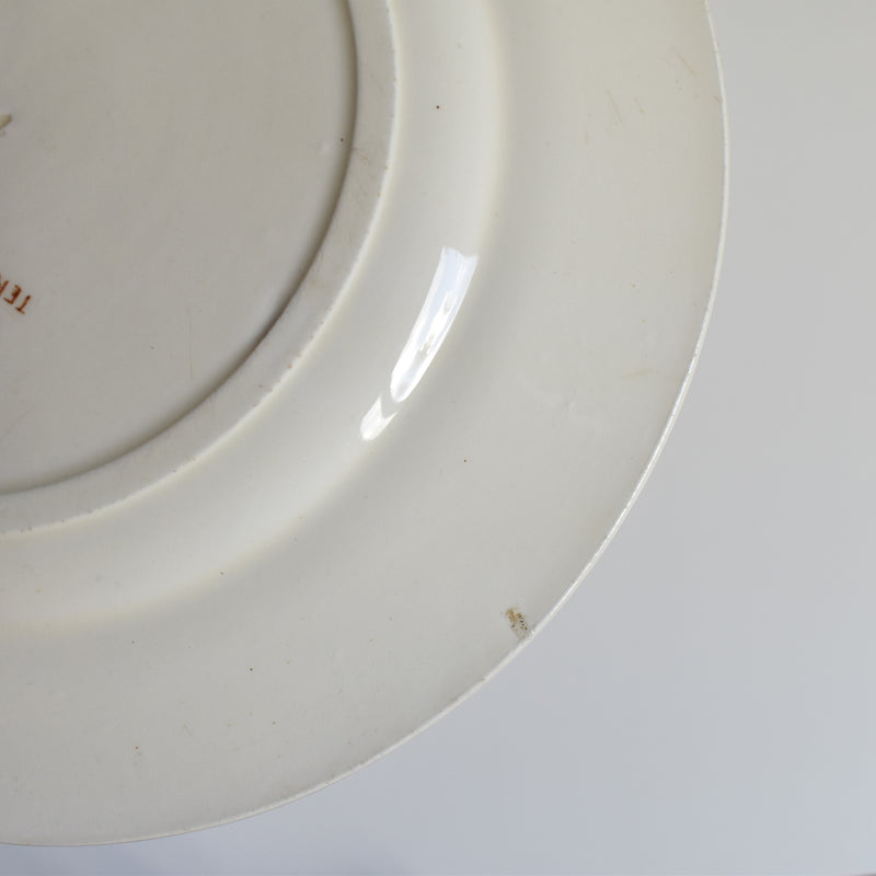 Antique Dessert Plate Salins Tunis C