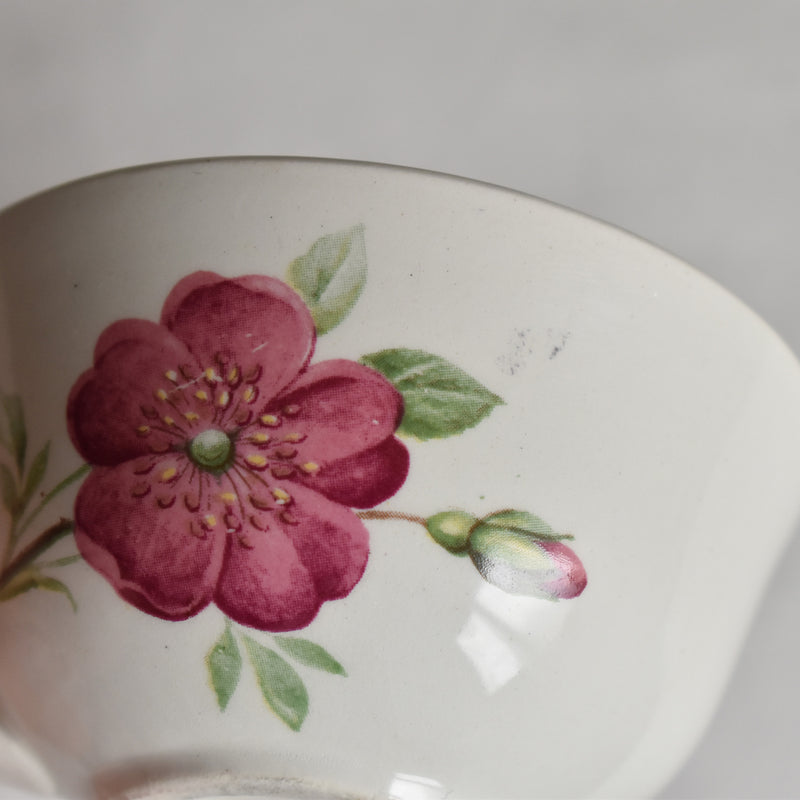 Vintage Cup Gien Rosine A
