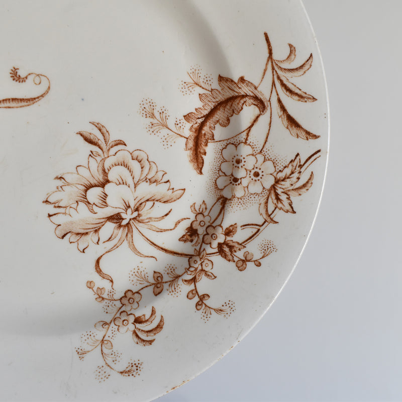 Antique Dessert Plate Salins Tunis C