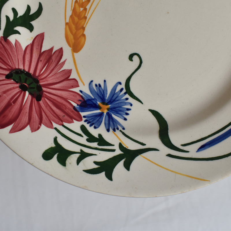 Vintage Dessert Plate Sarreguemines Messidor E