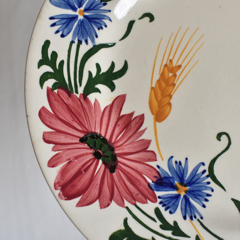 Vintage Dessert Plate Sarreguemines Messidor E