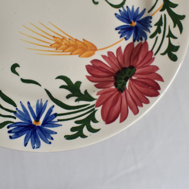 Vintage Dessert Plate Sarreguemines Messidor F