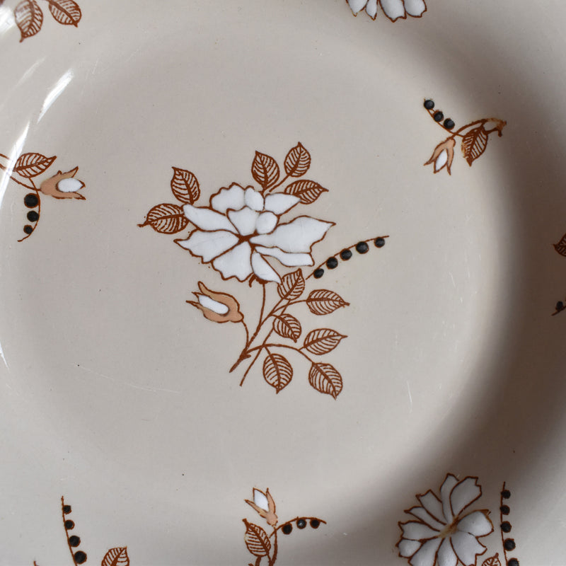 Antique Deep Plate, Ronウィ Beatrix B