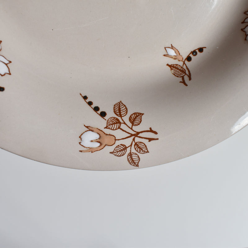 Antique Deep Plate, Ronウィ Beatrix B