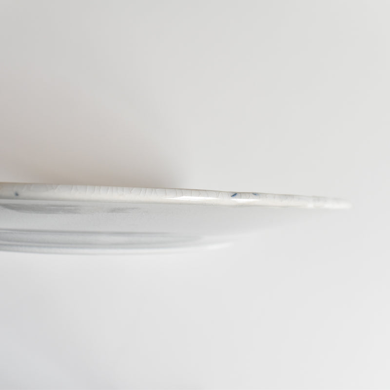 Antique Plate: U&C Sarreguemines Aïda I