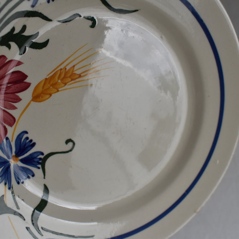 Vintage Dessert Plate, Sarreguemines Messidor D