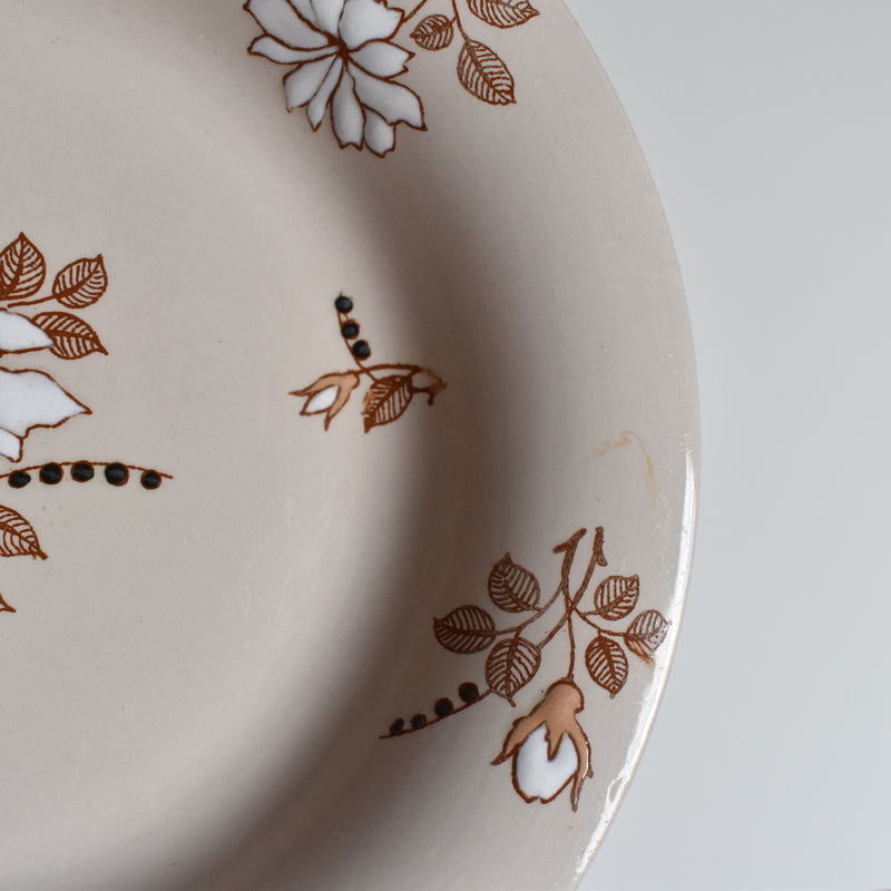 Antique Deep Plate, Ronウィ Beatrix B