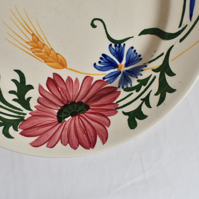 Vintage Dessert Plate, Sarreguemines Messidor D