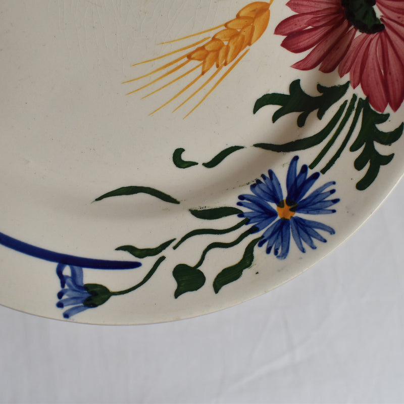 Vintage Dessert Plate, Sarreguemines Messidor D