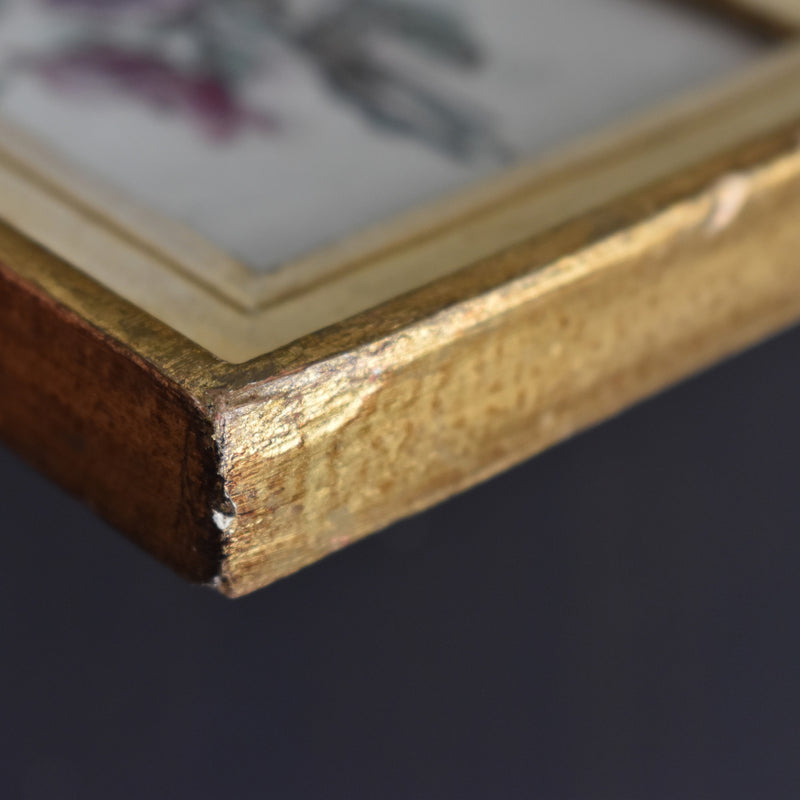 Vintage Frame, Painted, Flemish School, Flowers A