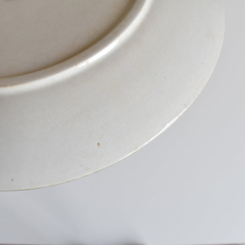 Antique Plate, Sarreguemines Carmen