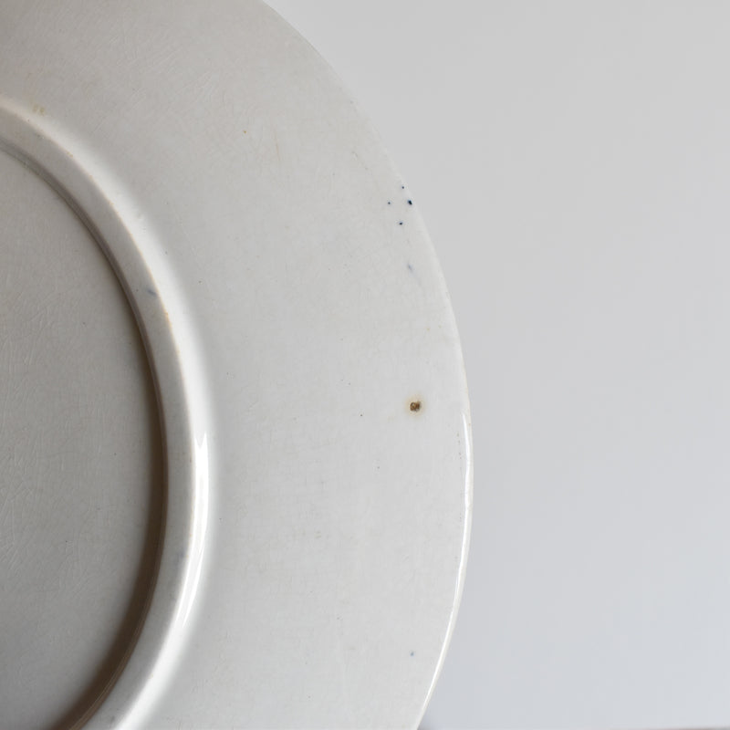 Antique Plate, Sarreguemines Carmen