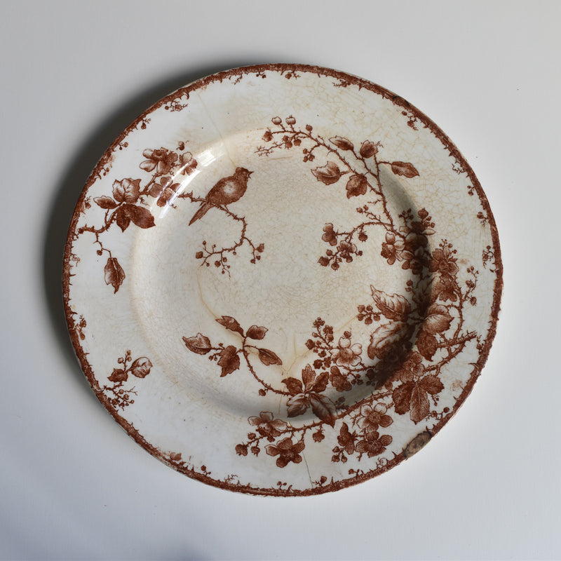 Antique Plate - Gien - Fauvette