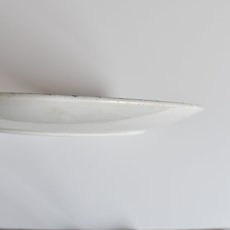 Antique Plate, Sarreguemines Carmen