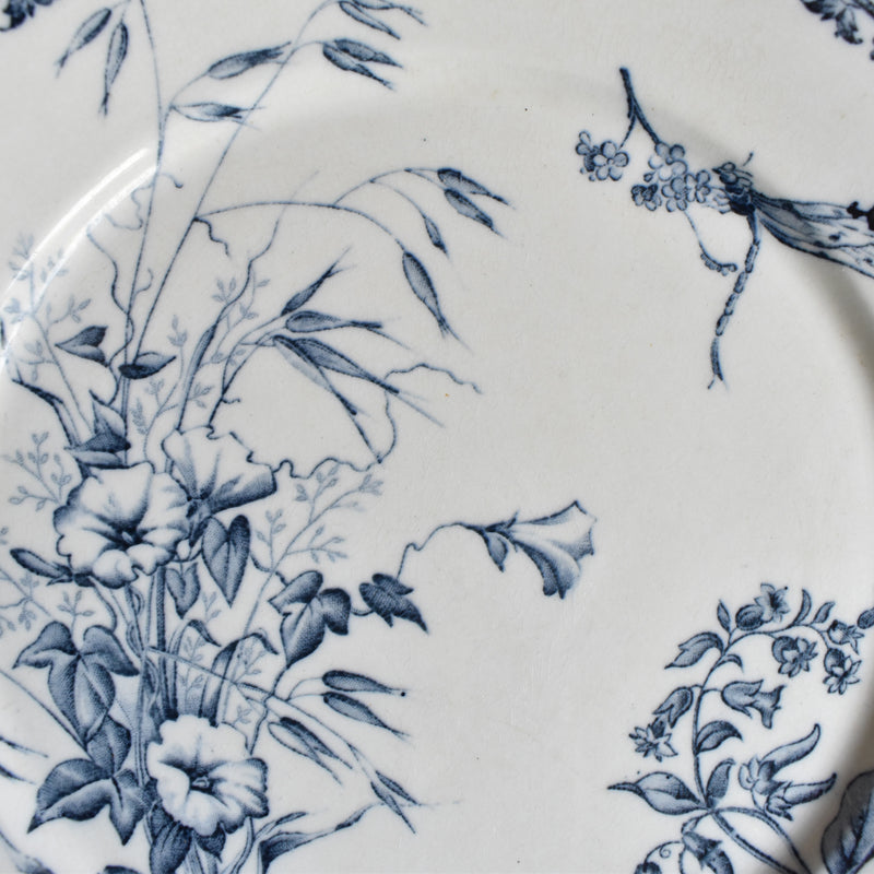 Antique Plate, Sarreguemines Carmen