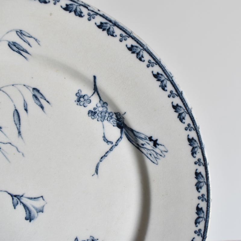 Antique Plate, Sarreguemines Carmen