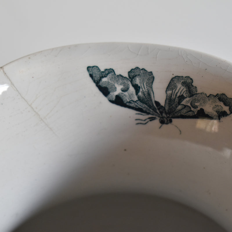 Antique pitcher Saint-Amand Orchidees