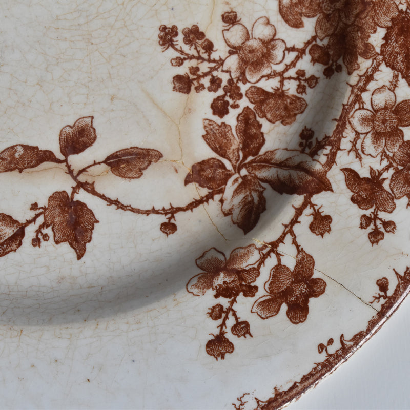 Antique Plate - Gien - Fauvette