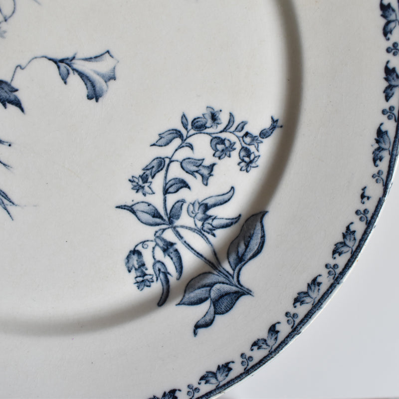 Antique Plate, Sarreguemines Carmen