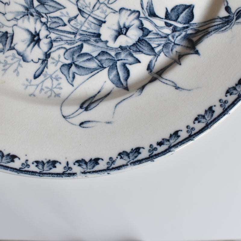 Antique Plate, Sarreguemines Carmen