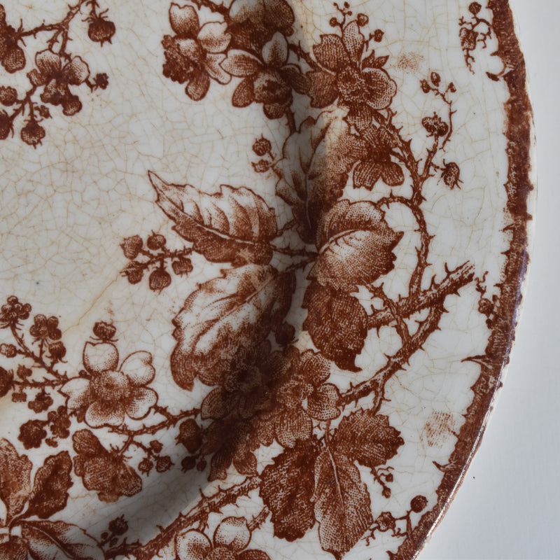 Antique Plate - Gien - Fauvette
