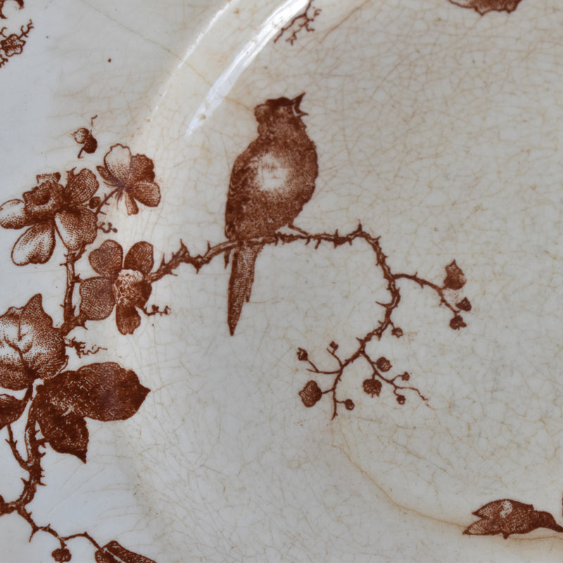 Antique Plate - Gien - Fauvette