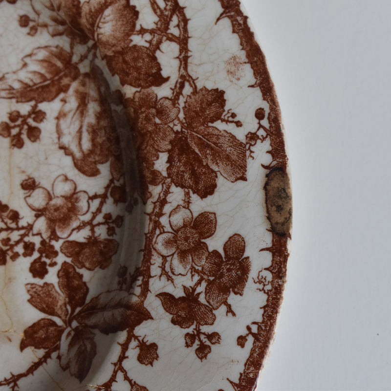 Antique Plate - Gien - Fauvette