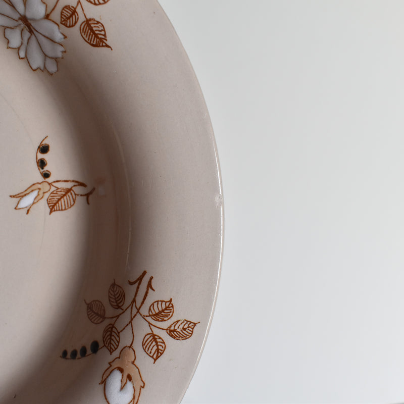 Antique Deep Plate, Ronウィ Beatrix D