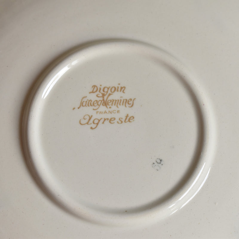 Vintage teacup and saucer, Digoin & Sarreguemines, Agreste A