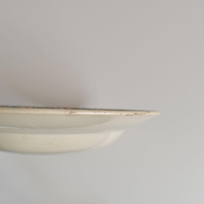 Vintage Deep Plate Digoin & Sarreguemines Houx (Holly) C