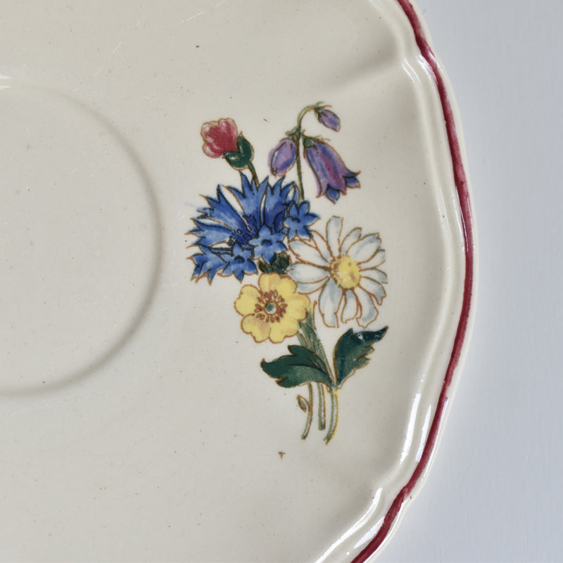 Vintage teacup and saucer, Digoin & Sarreguemines, Agreste A