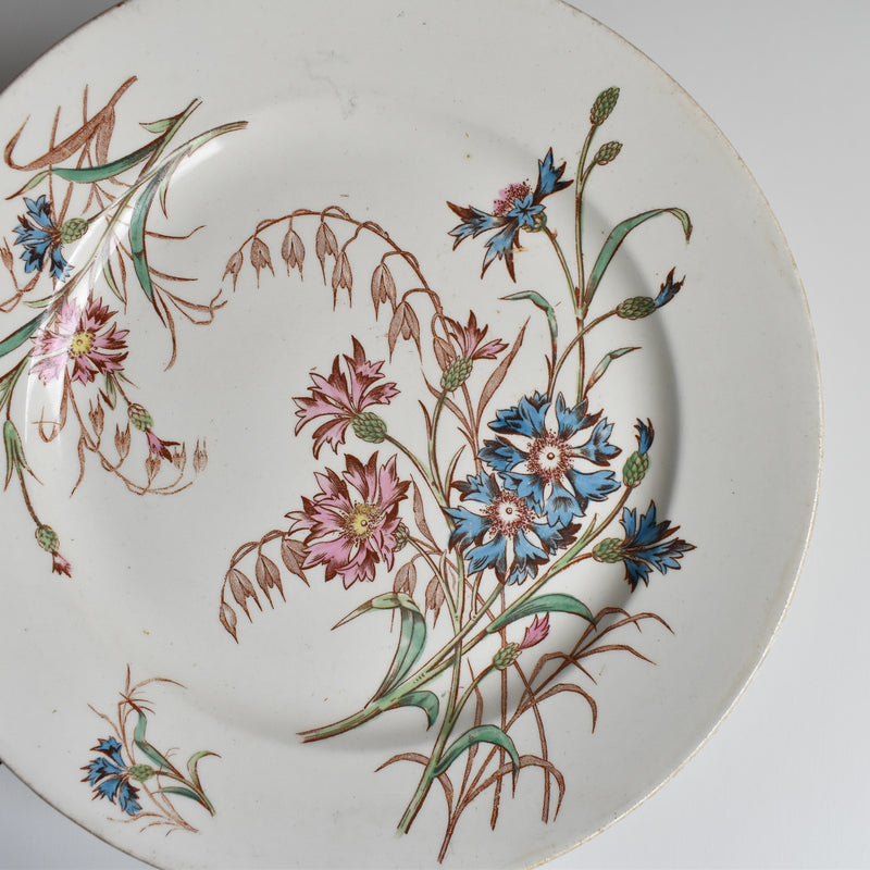 Antique Plate K&G Lunéville Bleuet