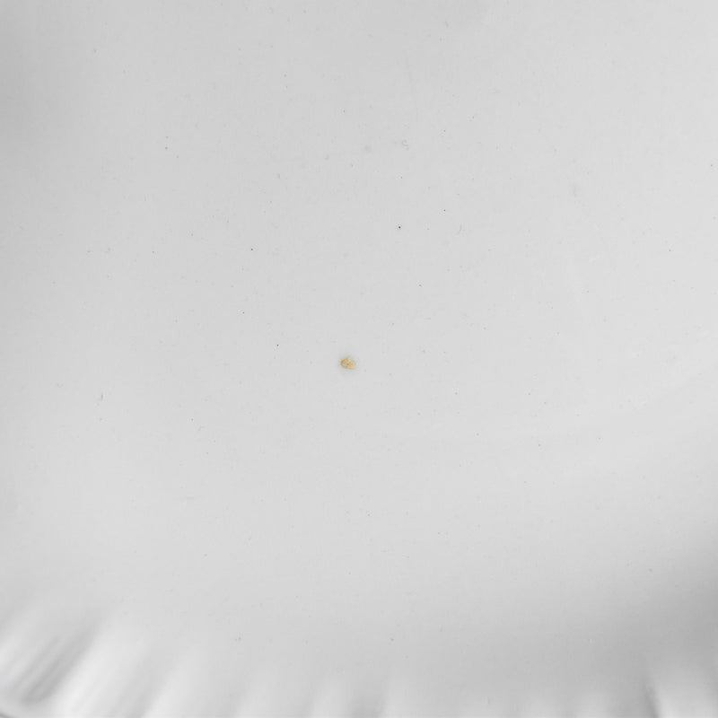 ヴィンテージプレート ディゴワン＆サルグミンヌ ホワイト花リム A