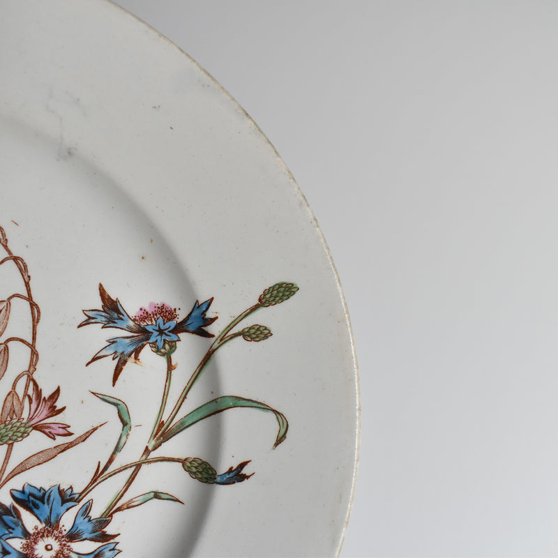 Antique Plate K&G Lunéville Bleuet