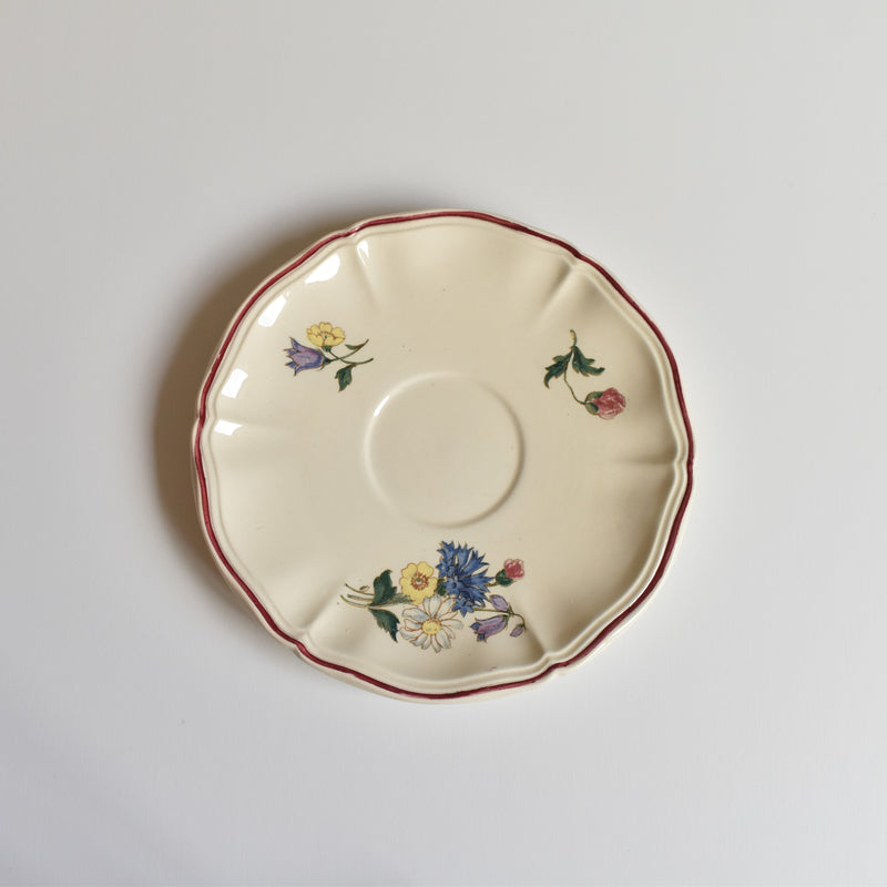 Vintage Cup and Saucer Digoin & Sarreguemines Agreste B