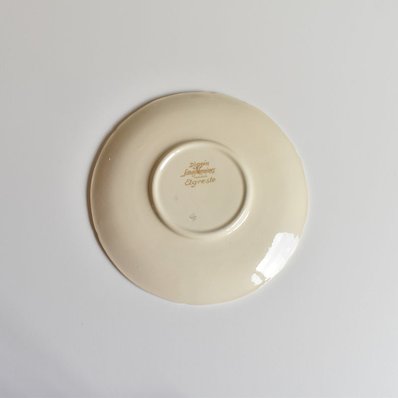 Vintage Cup and Saucer Digoin & Sarreguemines Agreste B