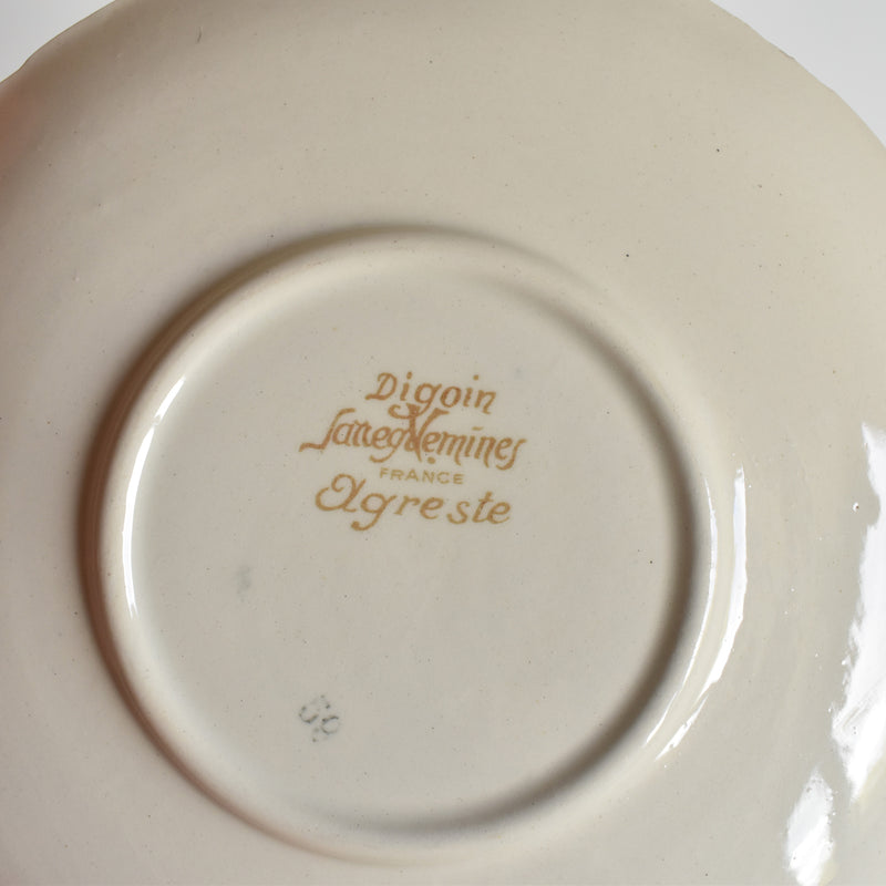 Vintage Cup and Saucer Digoin & Sarreguemines Agreste B
