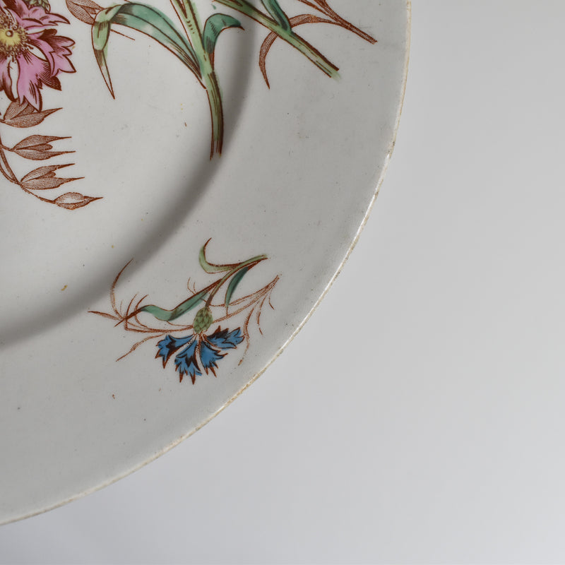 Antique Plate K&G Lunéville Bleuet