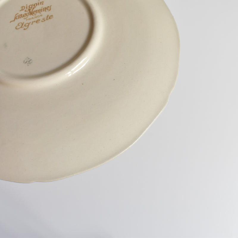 Vintage Cup and Saucer Digoin & Sarreguemines Agreste B
