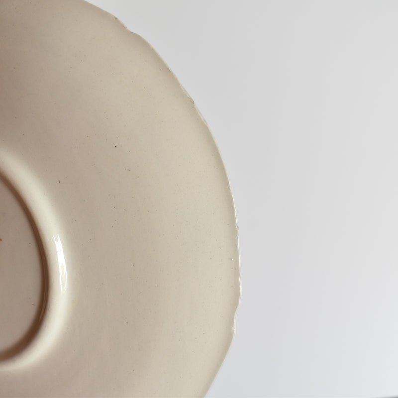 Vintage Cup and Saucer Digoin & Sarreguemines Agreste B