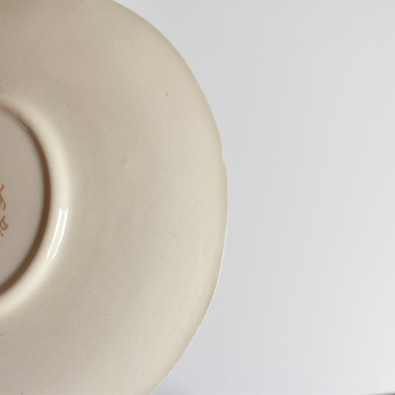 Vintage Cup and Saucer Digoin & Sarreguemines Agreste B